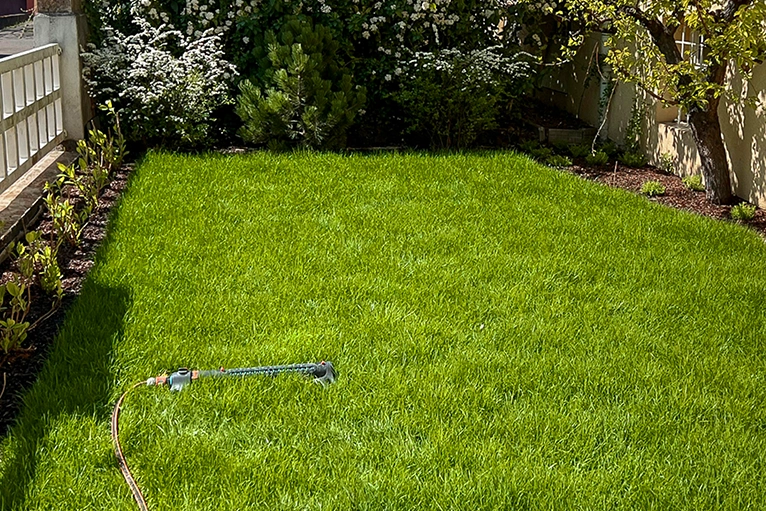 Gartenpflege