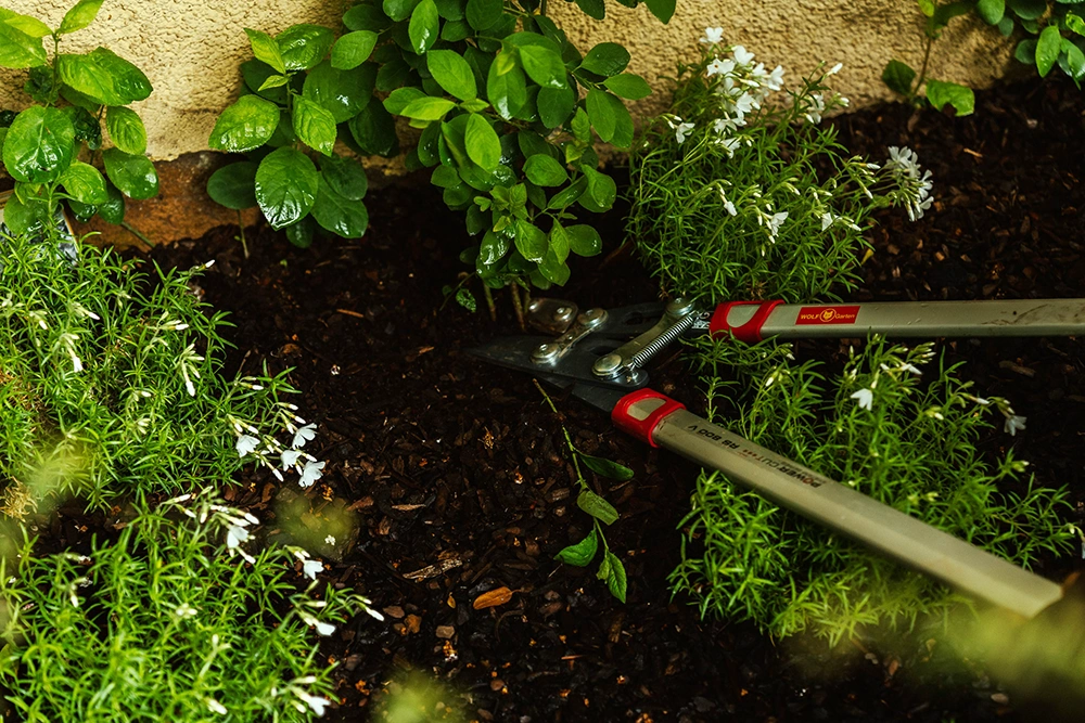 Gartenpflege
